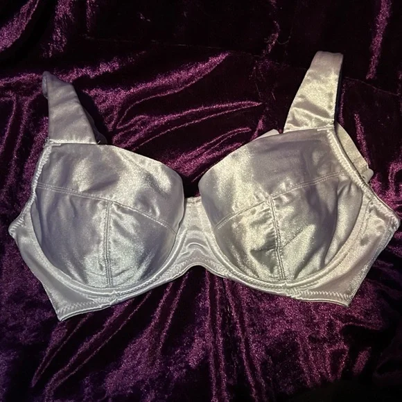 Frederick's of Hollywood Shimmering Silver Bra - Picture 1 of 4